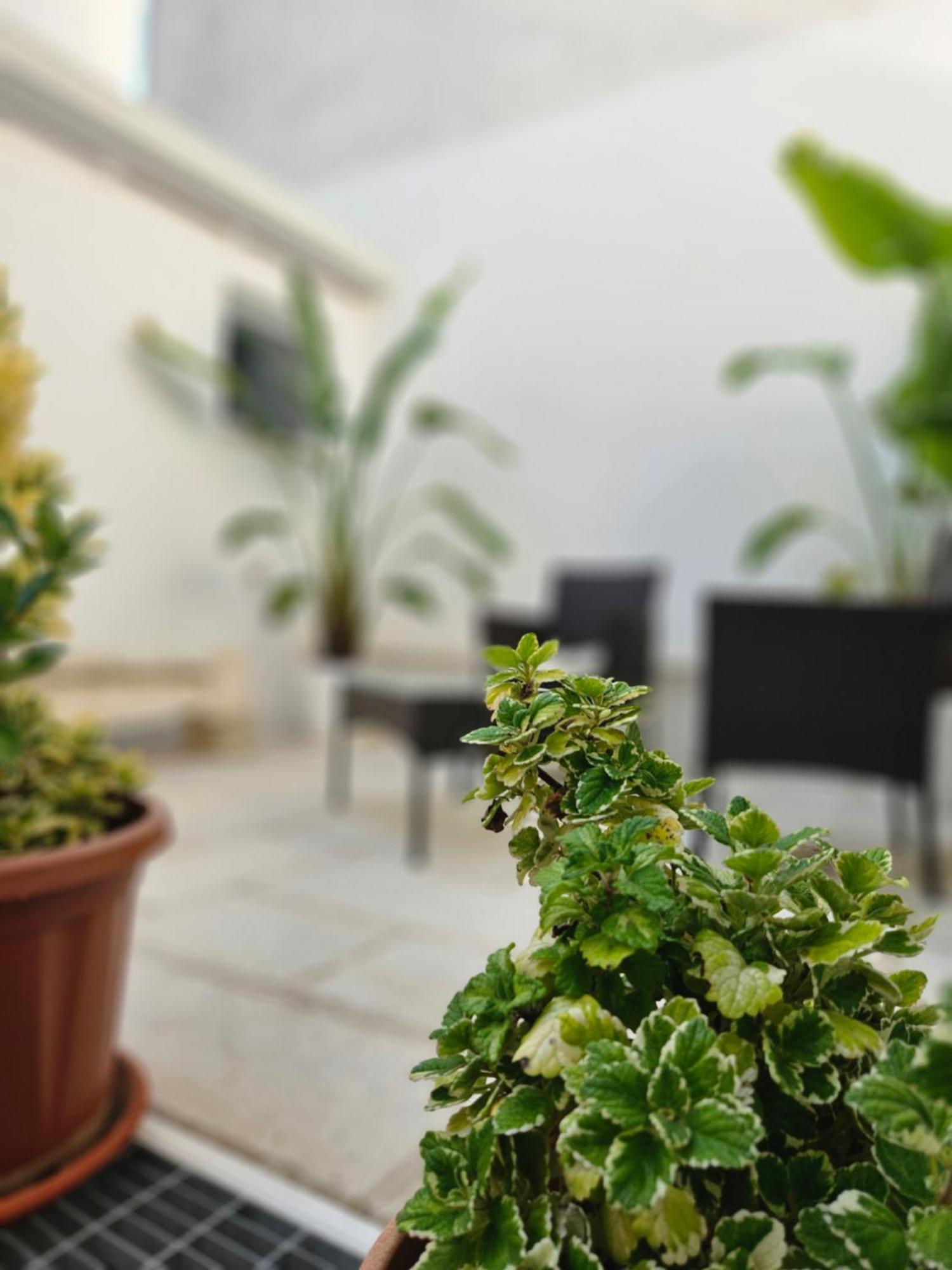 B&B La Campana Salentina Galatone Buitenkant foto
